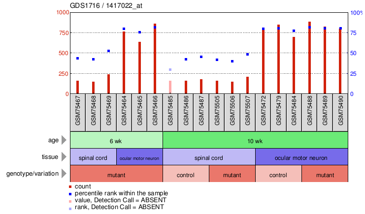 Gene Expression Profile