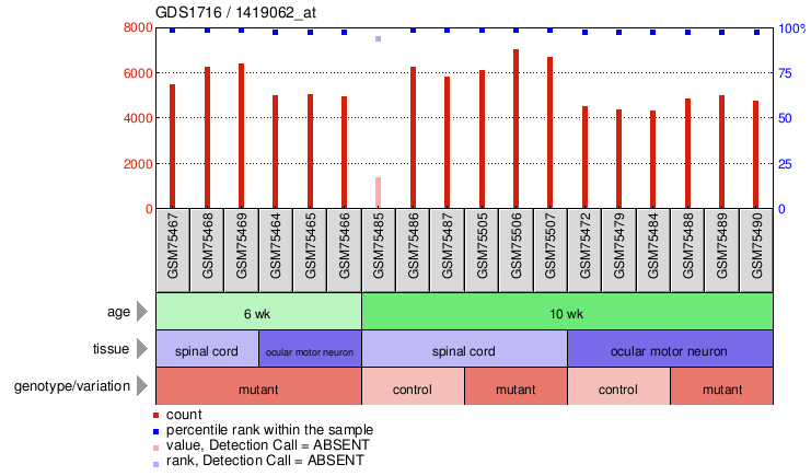 Gene Expression Profile