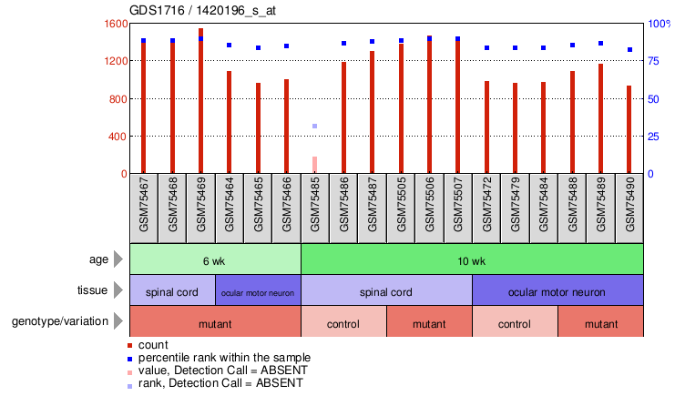 Gene Expression Profile