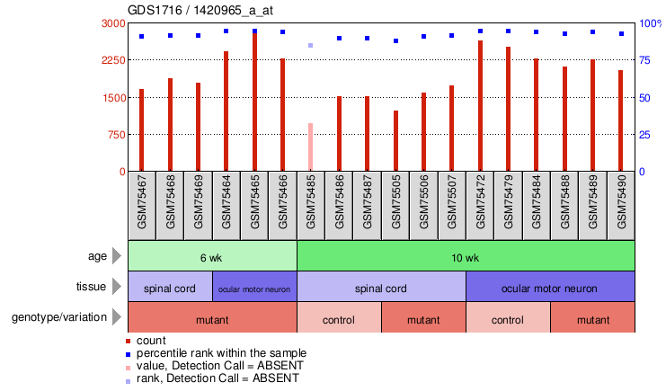 Gene Expression Profile