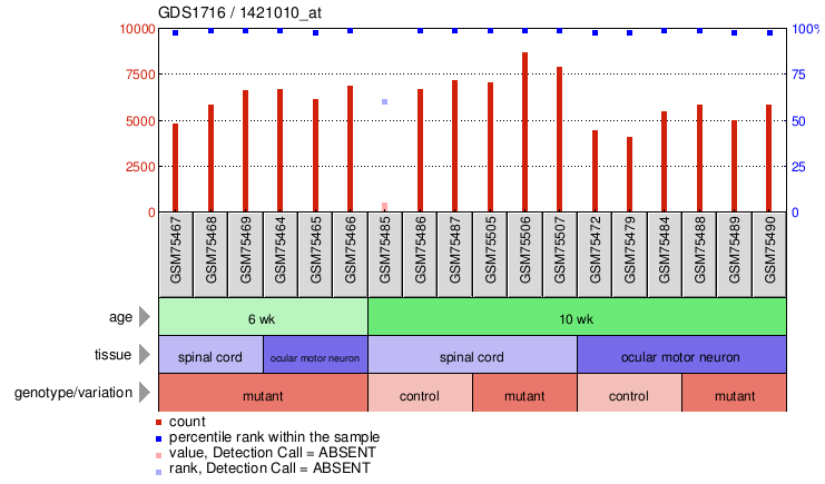 Gene Expression Profile