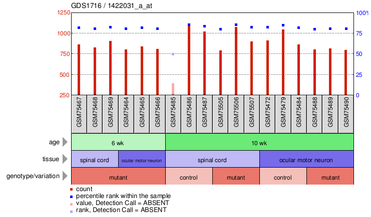 Gene Expression Profile