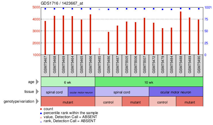 Gene Expression Profile