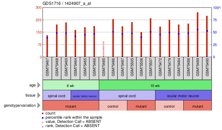 Gene Expression Profile