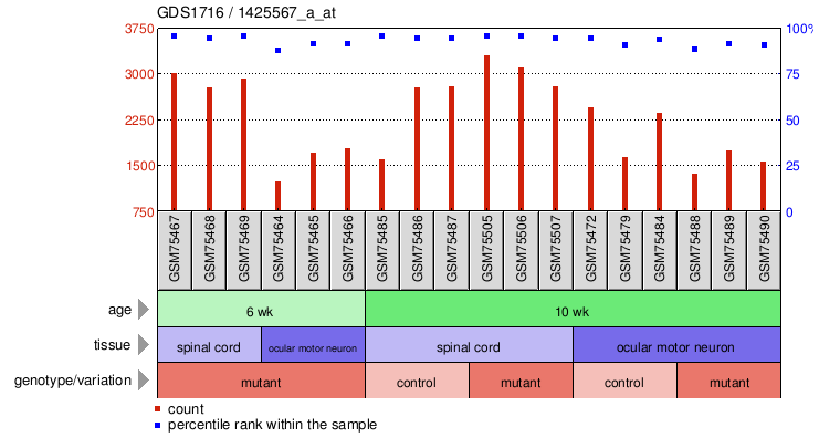 Gene Expression Profile