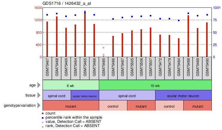 Gene Expression Profile