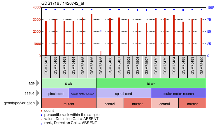 Gene Expression Profile