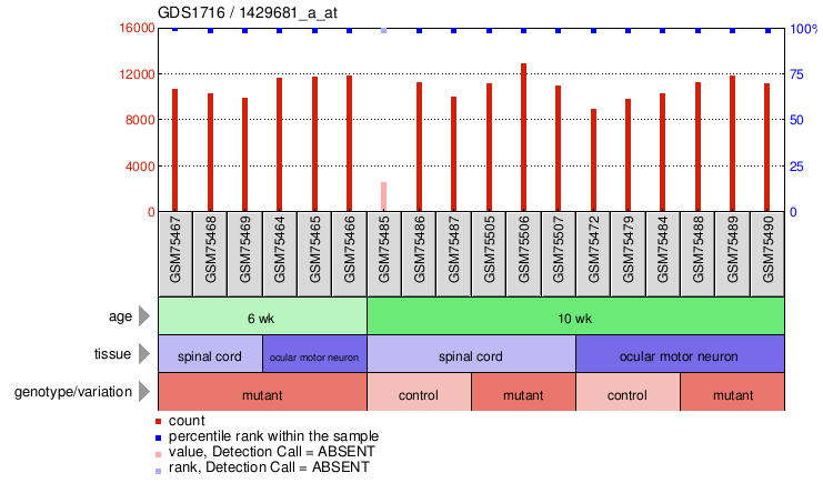 Gene Expression Profile