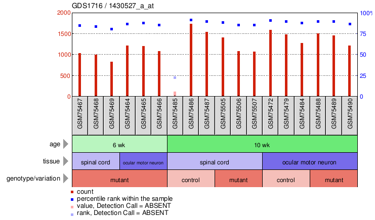 Gene Expression Profile