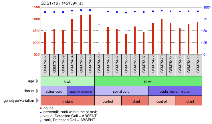 Gene Expression Profile