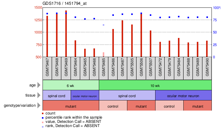 Gene Expression Profile