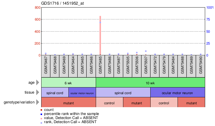 Gene Expression Profile