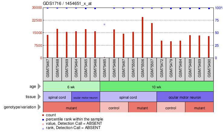 Gene Expression Profile