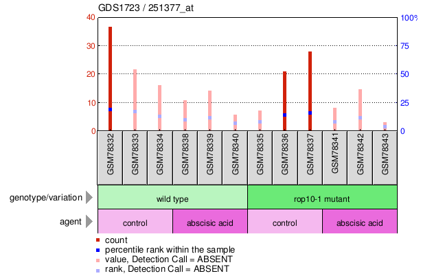 Gene Expression Profile