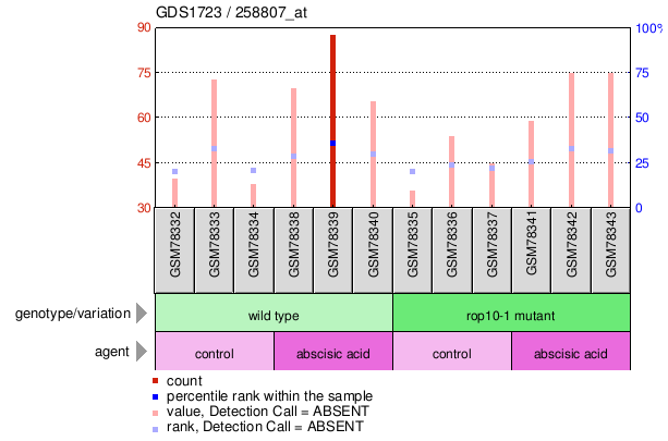 Gene Expression Profile