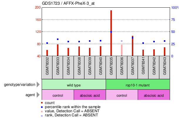 Gene Expression Profile