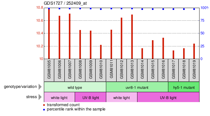 Gene Expression Profile