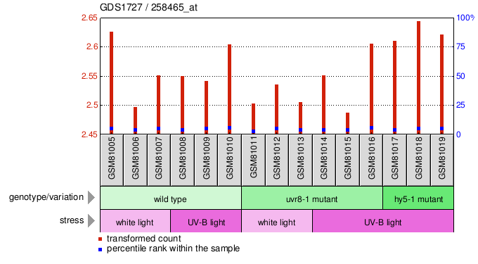 Gene Expression Profile