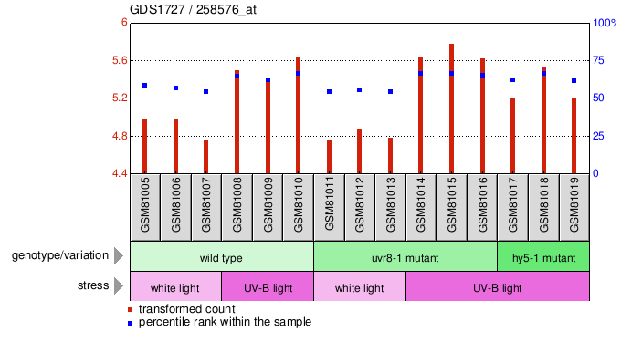 Gene Expression Profile