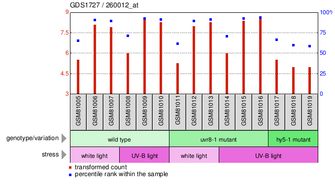 Gene Expression Profile