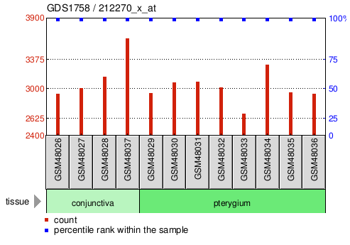 Gene Expression Profile