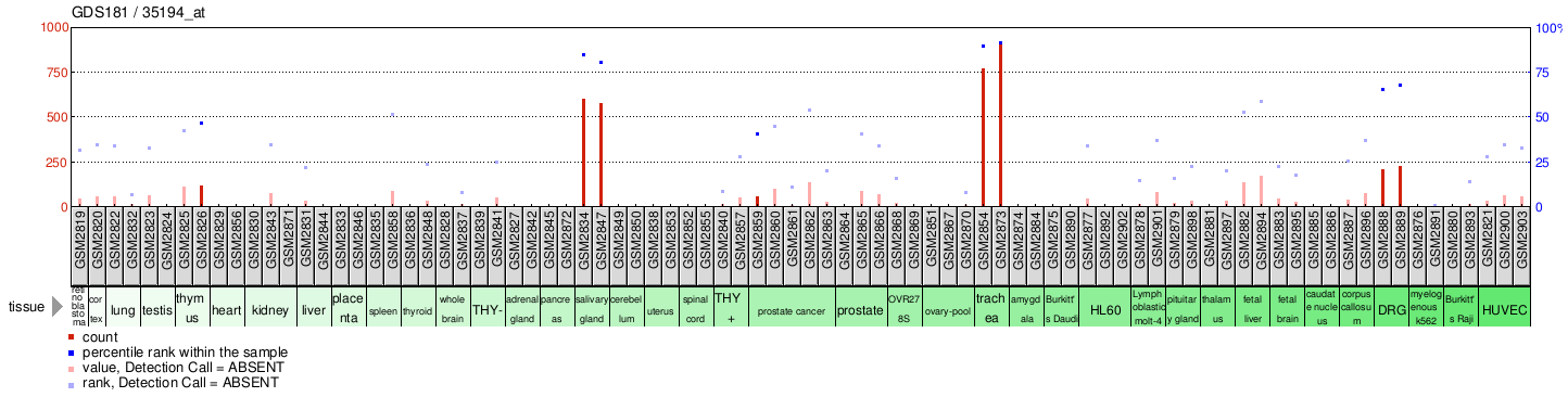 Gene Expression Profile