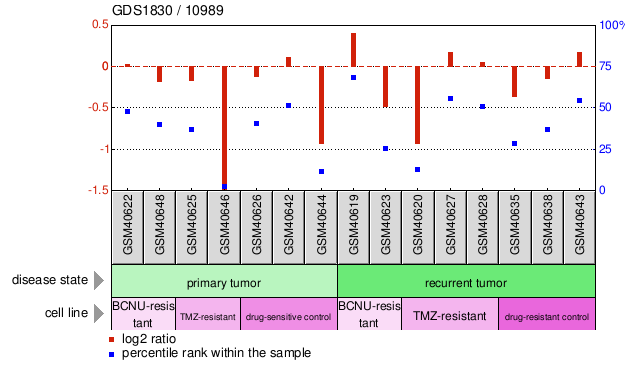 Gene Expression Profile