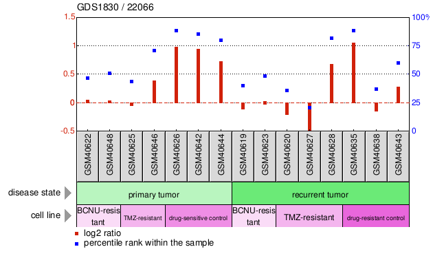 Gene Expression Profile