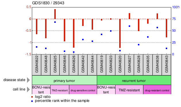 Gene Expression Profile