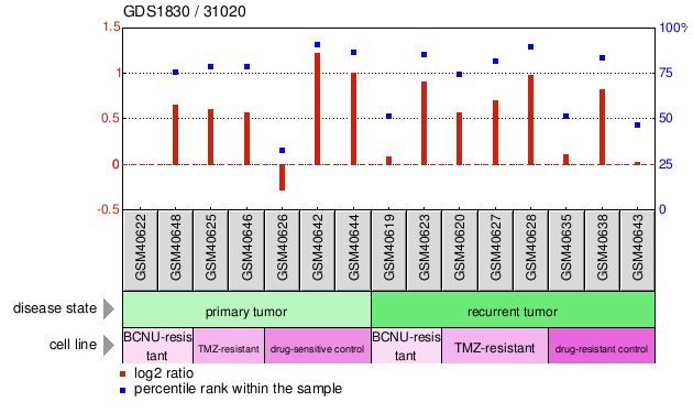 Gene Expression Profile