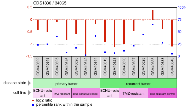 Gene Expression Profile