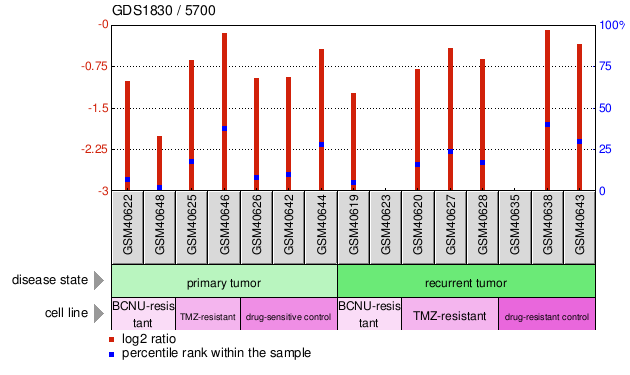 Gene Expression Profile