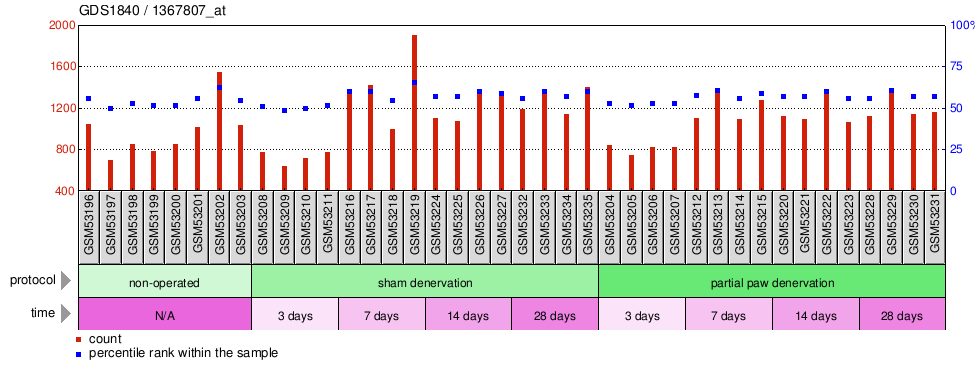 Gene Expression Profile