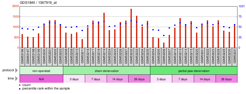 Gene Expression Profile