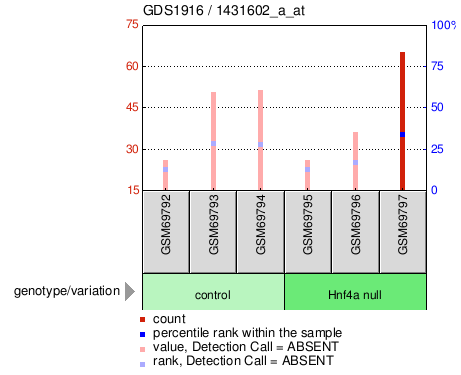 Gene Expression Profile