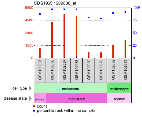 Gene Expression Profile