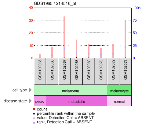 Gene Expression Profile