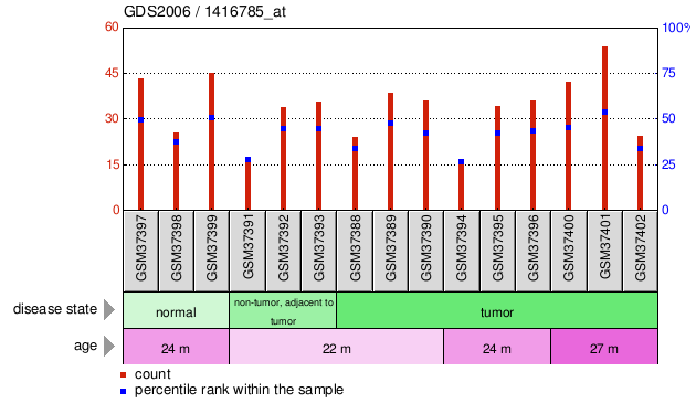 Gene Expression Profile