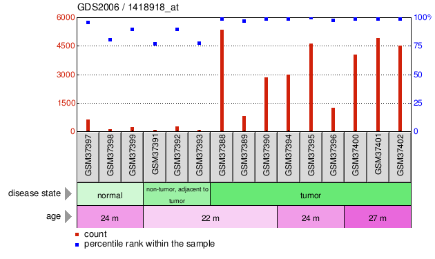 Gene Expression Profile