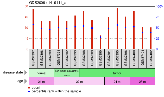 Gene Expression Profile