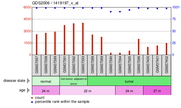 Gene Expression Profile