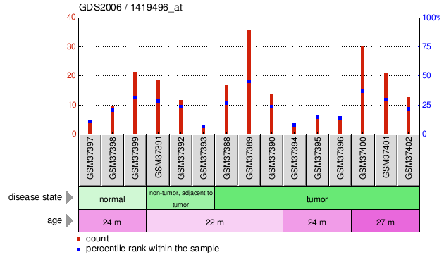 Gene Expression Profile