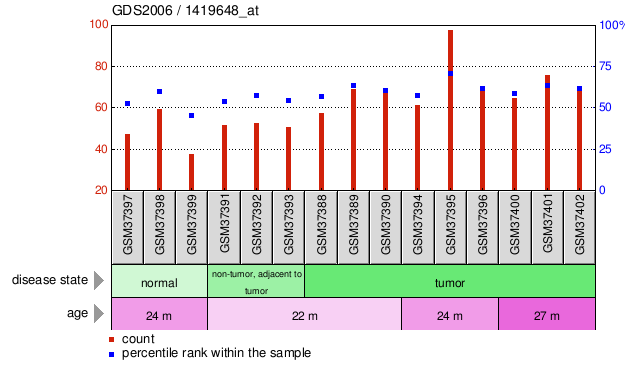 Gene Expression Profile