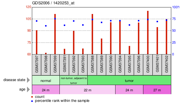 Gene Expression Profile