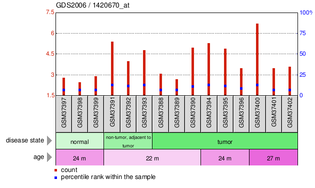 Gene Expression Profile