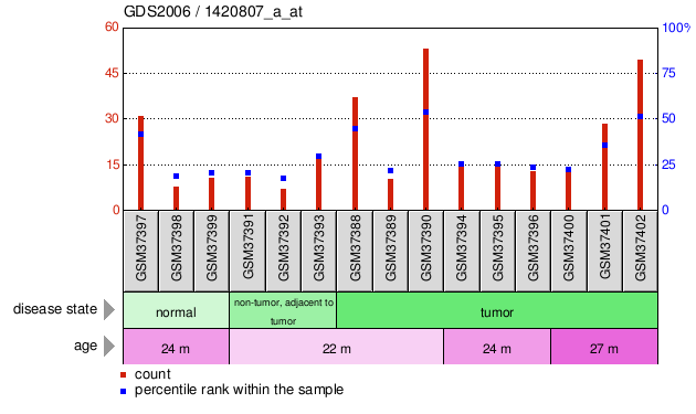 Gene Expression Profile