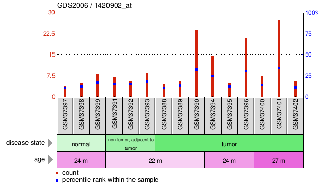 Gene Expression Profile