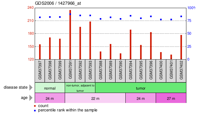 Gene Expression Profile