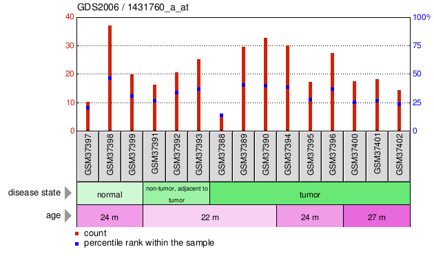 Gene Expression Profile