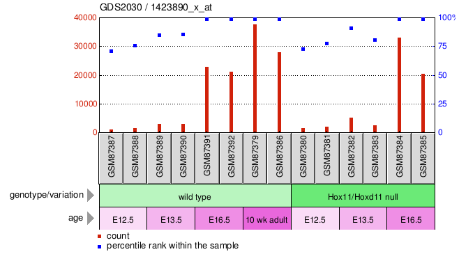 Gene Expression Profile